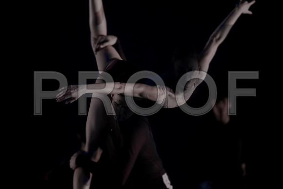 7025_DG_VISCERA_Preformance_Lian_Scarletts_Ballet_MCM_FL_FL_AL1B3863_DxO