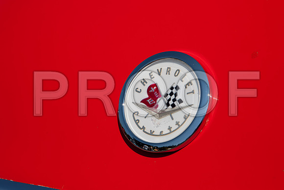 0026_DG_Mill_Valley_CA_USA_2009_5L8Y1819