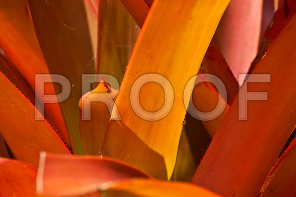 3001_Fisher_Plant_Miami_FL5L8Y2414