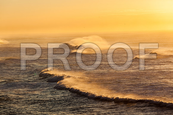 20140713_STT_Custom_170693705