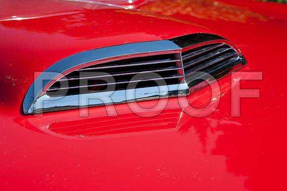 0026_DG_Mill_Valley_CA_USA_2009_5L8Y1786