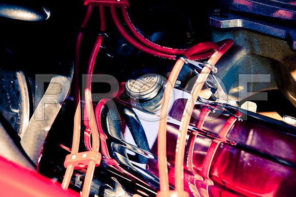 0026_DG_Mill_Valley_CA_USA_2009_5L8Y1863