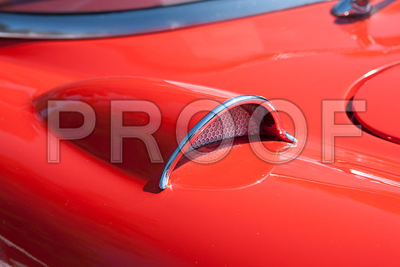 0026_DG_Mill_Valley_CA_USA_2009_5L8Y1816