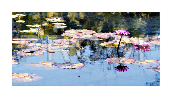 DSC_0105_Chihuly_Fairchild_FL_20060907