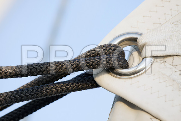20140711_STT_Custom_147099689