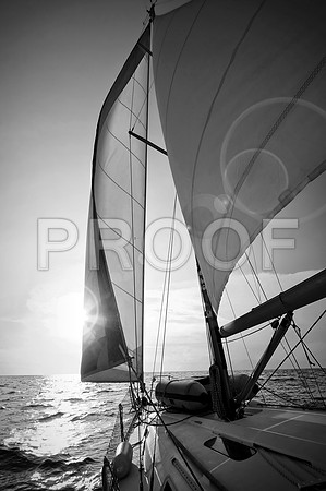 sh_54004051