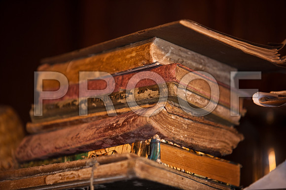 84681_ZV4N_8120_FL_USA_2008