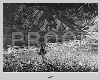 Screen Shot 2014-07-27 at 6.17.41 PM