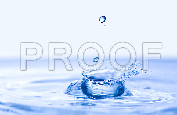 shutterstock_52911502