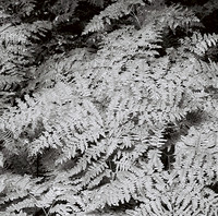 7578_9_B4P3_Napa_CA_02_BW