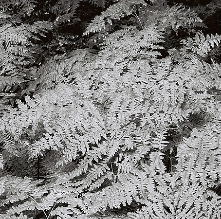 7578_9_B4P3_Napa_CA_02_BW