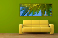 SHOWROOM_STK_25166527_1