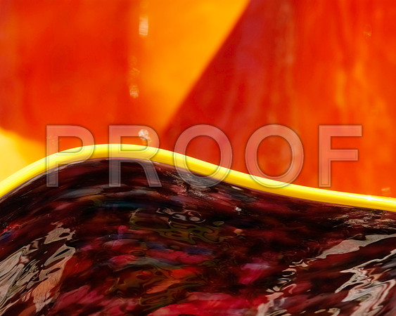 DSC_0016_Chihuly_Fairchild_F(48X60)