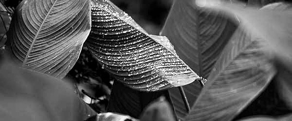Cityplace BW- 84675_ZV4N_7869_Color_Photo_Miami_Captiva__Naples_FL_USA_2008