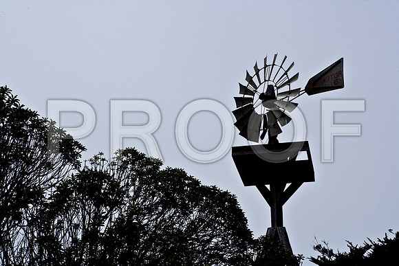 06606_DG_COLOR_MENDOCINO_CALIFORNIA_CA_USA_2007_ZV4N_3049
