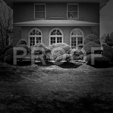 ashlandhouse-bw