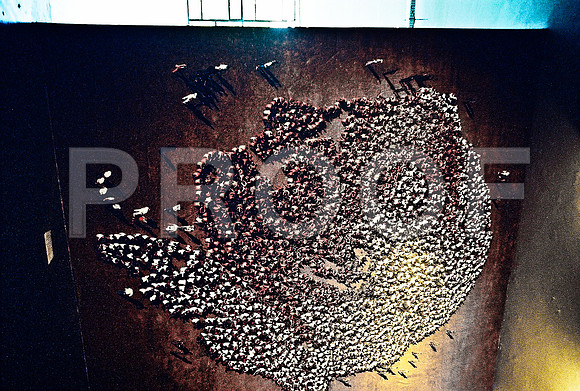 2617_FM_COLOR_35MM_BIENALE_26TH_SAO_PABLO_BRAZIL_2004_24