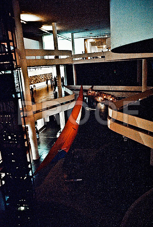 2617_FM_COLOR_35MM_BIENALE_26TH_SAO_PABLO_BRAZIL_2004_17