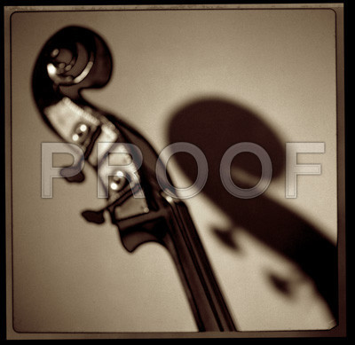 Bass Head_MGPfrt