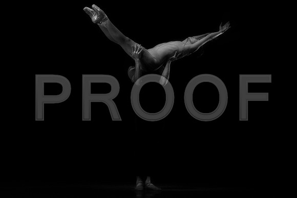 7005_DG_Broward_Art_Center_Ballet_MCB_FL_AL1B0258.bw