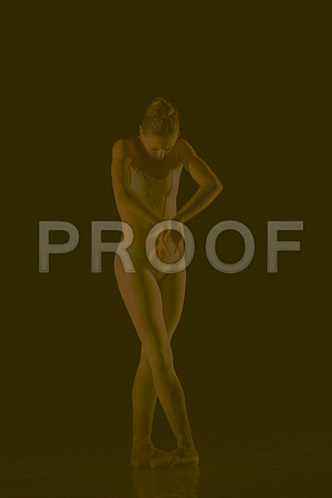 7005_DG_Broward_Art_Center_Ballet_MCB_FL_AL1B0018
