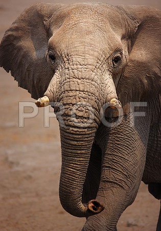 20150301_IMGSK_57440431