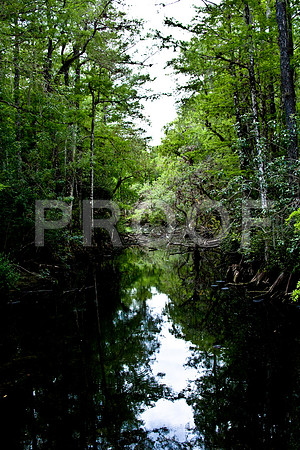2527_EVERGLADES_MIAMI_FLORIDA_AOM_20090315__A0M1390