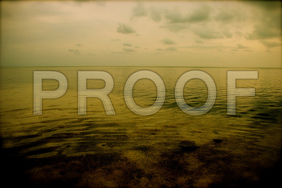 184832823_sepia ocean