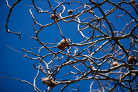 13012008~ZV4N4141