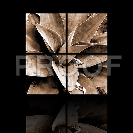 POLYPTYCH_SEPIA_PLANT_001-29
