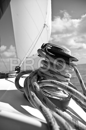 sh_51961894