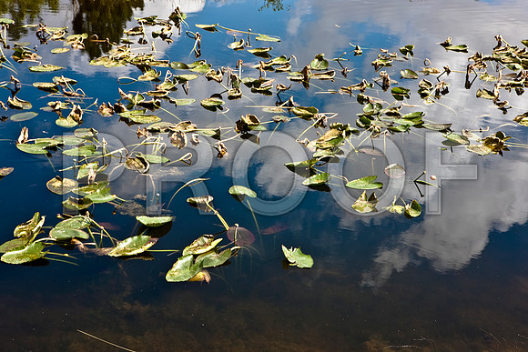 2528_EVERGLADES_MIAMI_FLORIDA_200903016_5L8Y2685