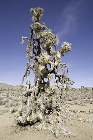 Picture 20