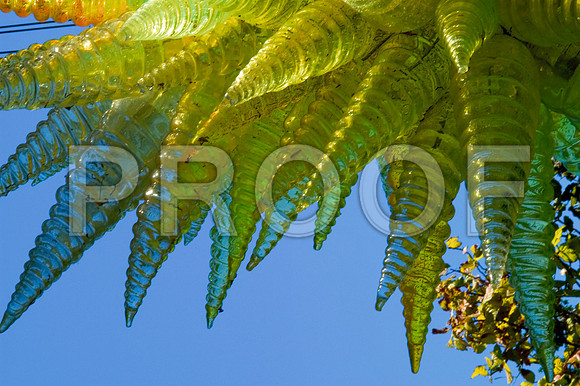 DSC_0079P_full_blead