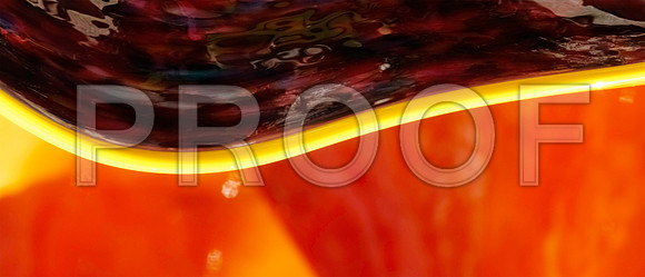 DSC_0016_Chihuly_Fairchild_FL(30x70)