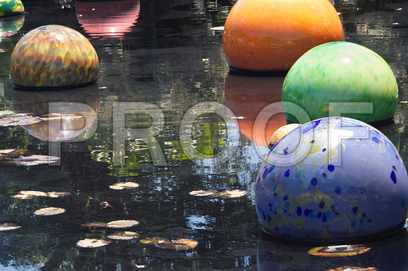 DSC_0092_Chihuly_Fairchild_FL_20060907