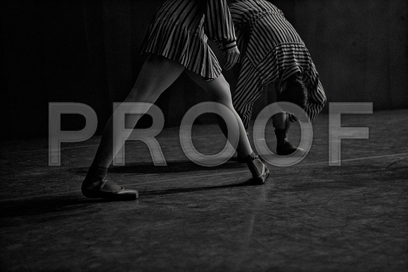 7005_DG_Broward_Art_Center_Ballet_MCB_FL_VA0M2592