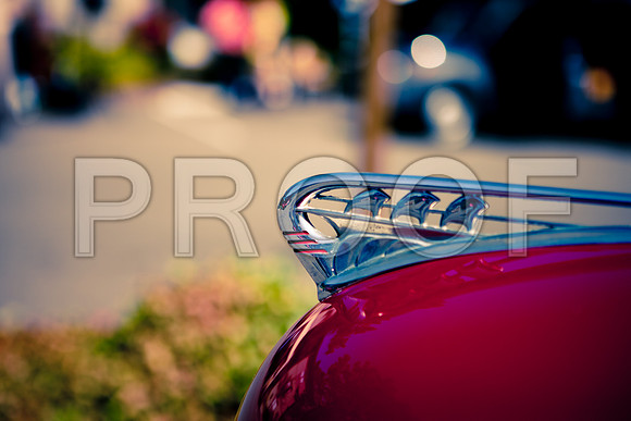 0026_DG_Mill_Valley_CA_USA_2009_5L8Y1876