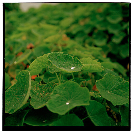 pastedGraphic[4]
