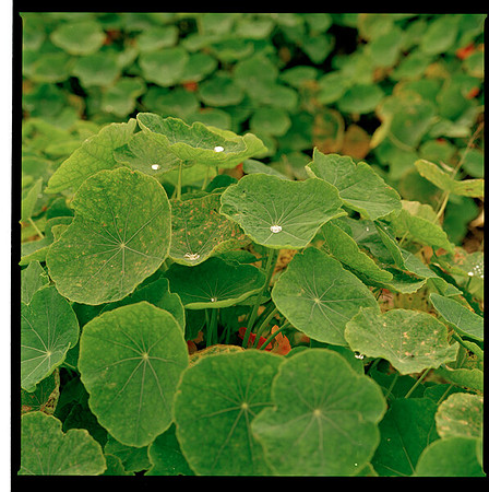 pastedGraphic[3]