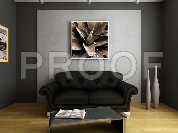 shutterstock_32014507_1
