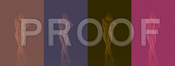 7005_DG_Broward_Art_Center_Ballet_MCB_FL_AL1B0018.2