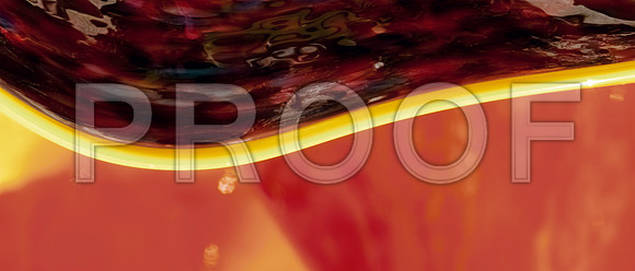 DSC_0016_Chihuly_Fairchild_FL_20060907