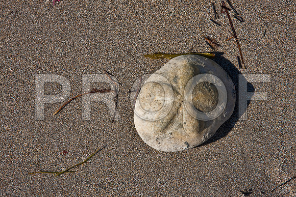2702_Fisher_Beach_Miami_FL_5L8Y1506