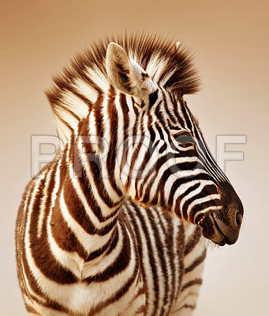 20150301_IMGSK160177610