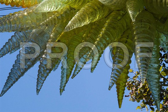 84698_DSC_0079_Color_Photo_Chihuly_Fairchild_Garden_Miami_FL_USA