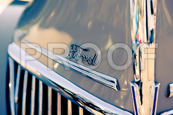 0026_DG_Mill_Valley_CA_USA_2009_5L8Y1866