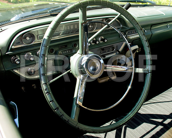 264653557_classic green-1