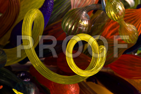 84775_DSC_0009_Fairchild_Garden_Miami_FL_USA
