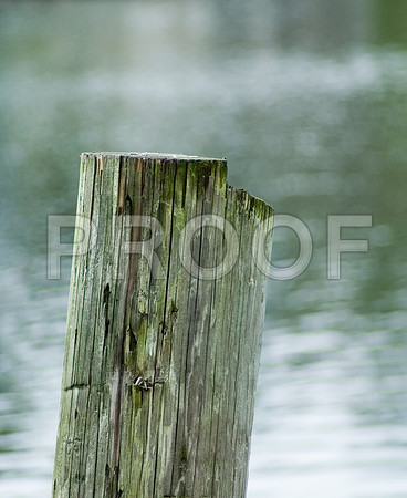 157610145_lake pole